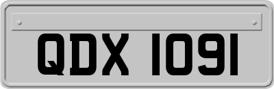QDX1091