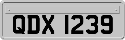 QDX1239