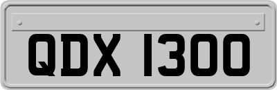 QDX1300