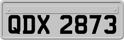 QDX2873