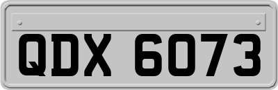 QDX6073