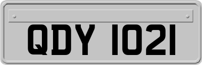 QDY1021