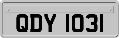 QDY1031