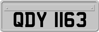 QDY1163