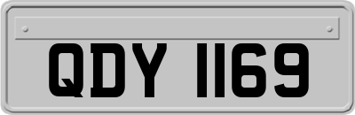 QDY1169