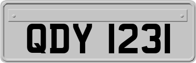 QDY1231
