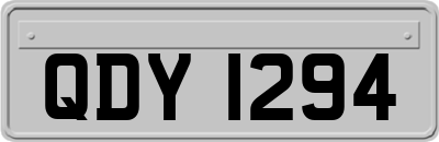 QDY1294