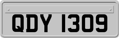 QDY1309