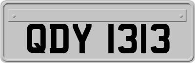 QDY1313
