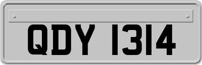 QDY1314
