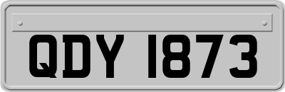 QDY1873