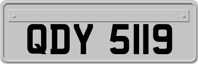 QDY5119