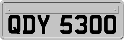 QDY5300