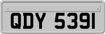 QDY5391