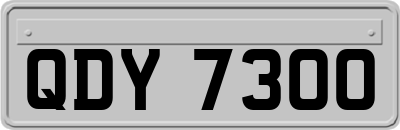 QDY7300