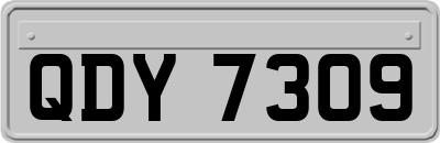 QDY7309