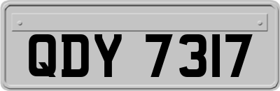 QDY7317