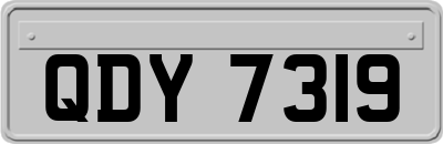 QDY7319