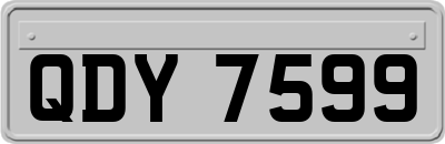 QDY7599