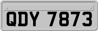 QDY7873