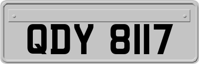 QDY8117