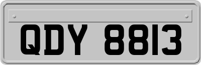 QDY8813