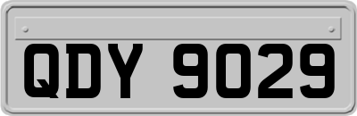 QDY9029