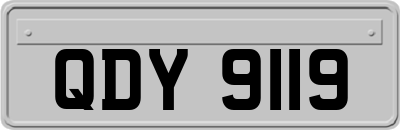 QDY9119