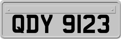 QDY9123