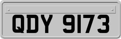 QDY9173