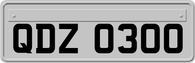 QDZ0300