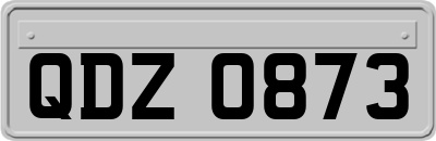 QDZ0873