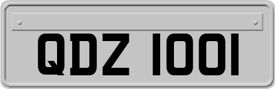 QDZ1001