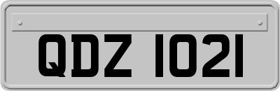QDZ1021
