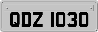 QDZ1030