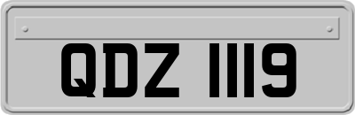 QDZ1119
