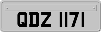 QDZ1171