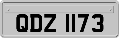 QDZ1173