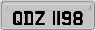 QDZ1198