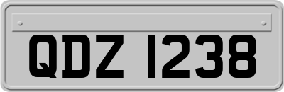 QDZ1238