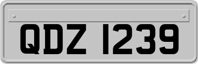 QDZ1239