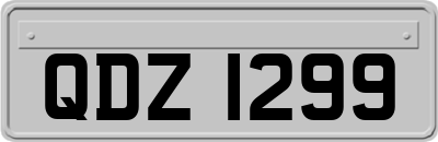 QDZ1299