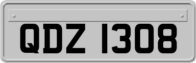 QDZ1308