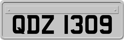 QDZ1309