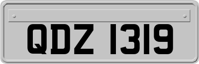 QDZ1319