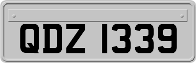 QDZ1339