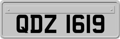 QDZ1619