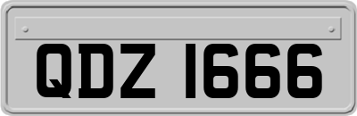 QDZ1666