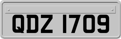QDZ1709