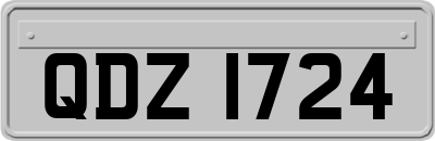 QDZ1724